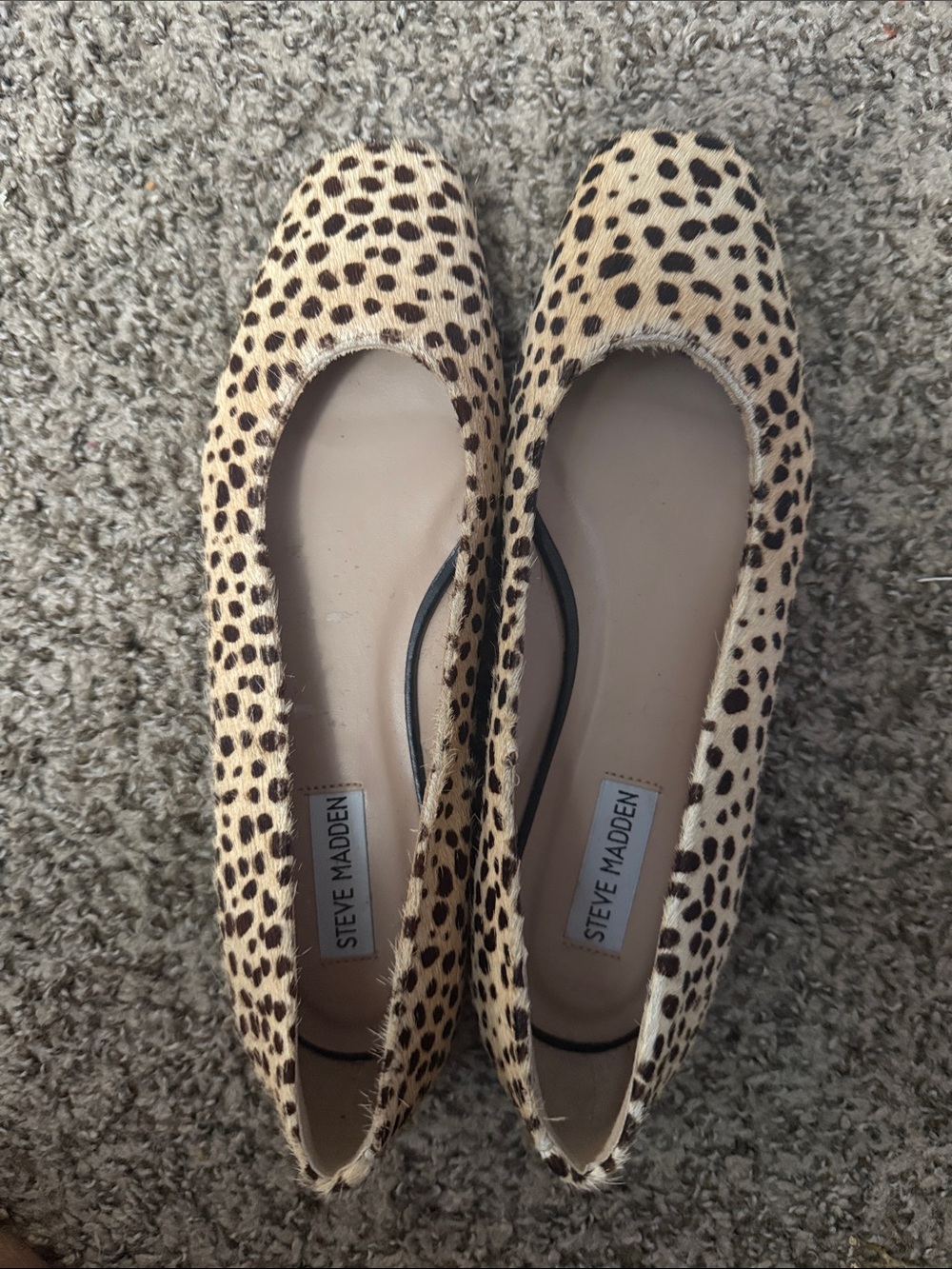Steve Madden Leopard Print Ballet Flats - Tan/Black